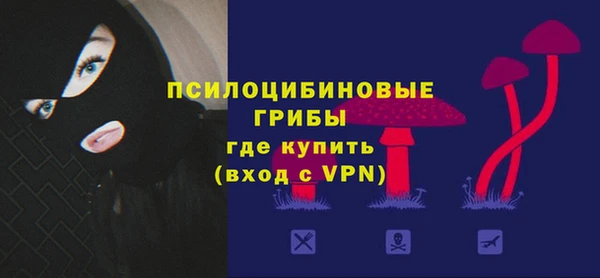 соль курить ск Дмитриев