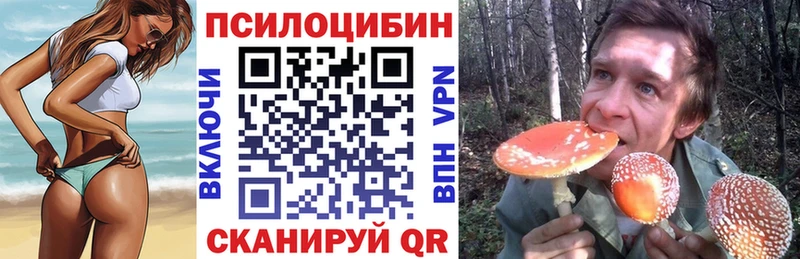 Галлюциногенные грибы Cubensis  Купить  Змеиногорск 